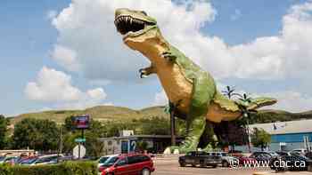 Starland County, Viking leap to top of active COVID-19 case list as numbers surge in central Alberta