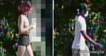 Ottawa police release videos of persons of interest in Carsons Road homicide - Globalnews.ca