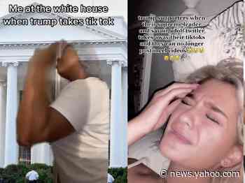 TikTok teens are making memes saying they'll show up at the White House to confront Trump over app ban