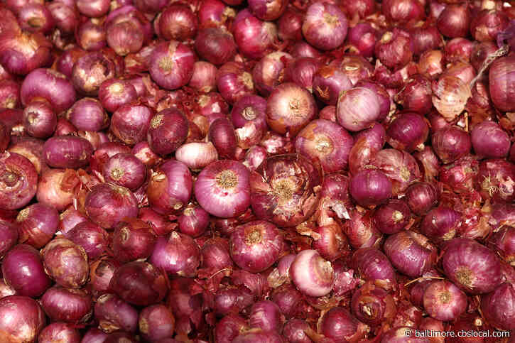 Red Onions Linked To Salmonella Outbreak That Has Sickened People In 31 States, Including Maryland