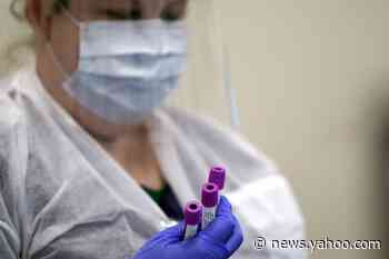 Coronavirus updates: New tests measure amount of antibodies in blood; Louisiana ravaged twice by virus; cruise crews test positive