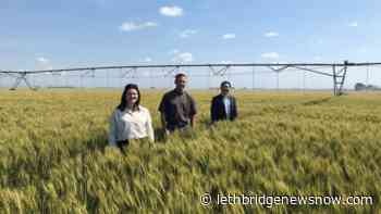 $100000 to support irrigation in Southeastern Alberta - Lethbridge News Now