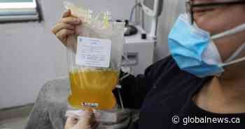 Clinical trial for possible COVID-19 treatment now open in Edmonton, Calgary - Globalnews.ca