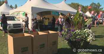 Edmonton Heritage Festival moves online and food bank counting on your donations - Globalnews.ca