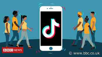 TikTok: How would the US go about banning the Chinese app?