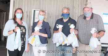 Local Lions Clubs feed nurses, medical staff at McLaren Lapeer - Thecountypress