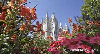 Church updates to general handbook include sections on medical marijuana, suicide - Universe.byu.edu