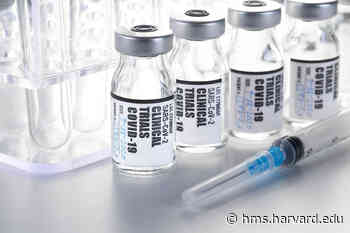 'The Ultimate Quest' | Harvard Medical School - Harvard Medical School
