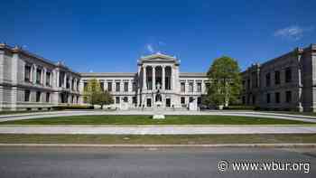 The Museum of Fine Arts, Which Remains Closed, Confirms Layoffs - WBUR