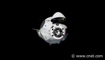 SpaceX splashdown: How to watch NASA astronauts return to Earth Sunday     - CNET