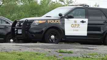 Brampton man, 42, dead after possible drowning in Lake Huron