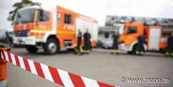 Feuer in Schenefeld: Landwirt verletzt sich bei Löschversuch schwer - Hamburger Morgenpost