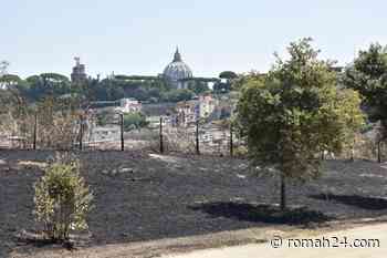 Monte Ciocci, l'erba secca è ancora a rischio incendio. Video - Prati - romah24.com