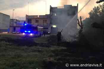 Incendio di erba lambisce la scuola elementare "Giuseppe Verdi": intervento dei Vigili del Fuoco e Polizia Locale - AndriaViva