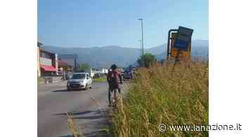 Erba alta ai lati della strada Pericolo in via Garibaldi - LA NAZIONE