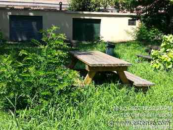 Erba alta, "alla faccia della propaganda elettorale" | estense.com Ferrara - Estense.com