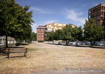 "Tagliata l'erba al parco Aleramo” - Tusciaweb.eu - Tuscia Web