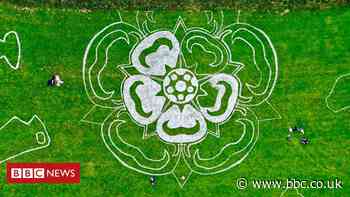 White Rose land art celebrates Yorkshire Day