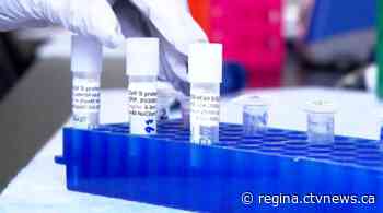 Sask. reports 8 new cases of COVID-19, record testing