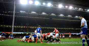 Details of Wales' fifth autumn opponents emerge ahead of bumper six-game fixture list - Wales Online