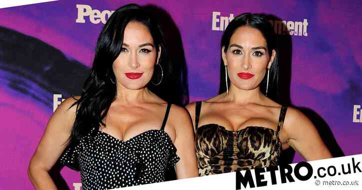 WWE twins Nikki and Brie Bella both give birth one day apart