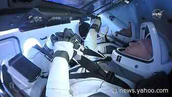 Nasa SpaceX crew return: Dragon capsule splashes down