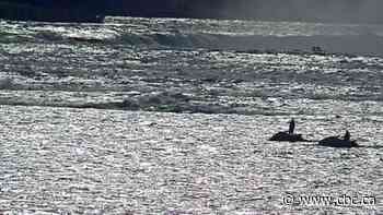 'Selfish and stupid': Spike in boaters, jet skiers in danger zone above Niagara Falls