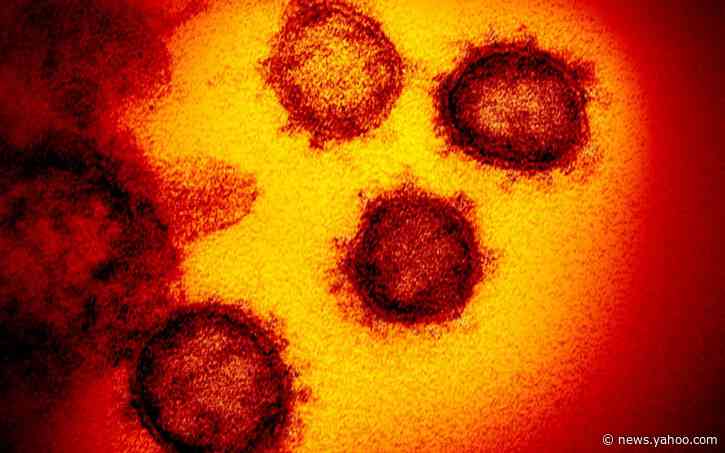 Whole cities and towns to be tested in case of local Covid outbreak using 90 minute procedure
