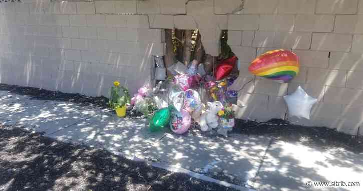 Taylorsville family mourns death of one twin after mother and children hit by car
