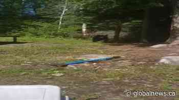 Saskatchewan couple face unbearable camping experience