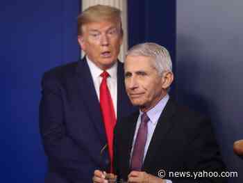 Trump publicly criticized Fauci again and called his congressional testimony 'wrong!'