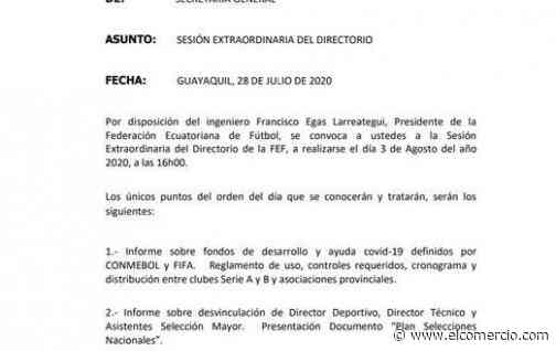 El Directorio de la Federación Ecuatoriana de Fútbol inicia la búsqueda del nuevo entrenador de la Selección; se volverán a reunir después de 101 días