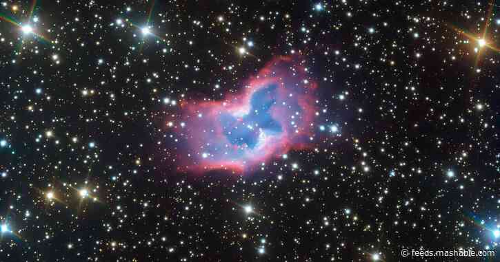 Don't you wish you could fly free like this beautiful space butterfly?