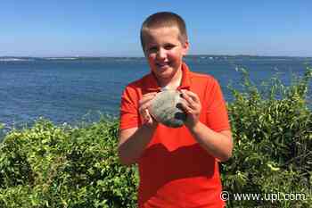 Quahog found by 11-year-old might be Rhode Island's largest clam - UPI News