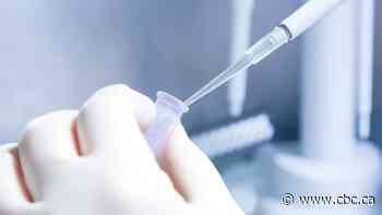 Supreme Court decision on genetics law missed a critical opportunity to hold Parliament more accountable