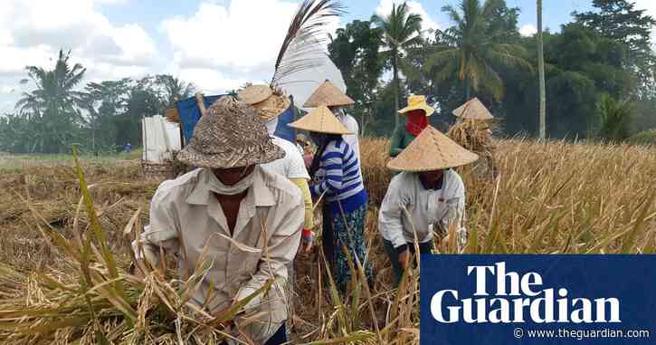 'Bali is not only about tourism': Covid-19 prompts rethink for island's residents