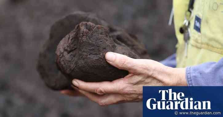 More coal power generation closed than opened around the world this year, research finds