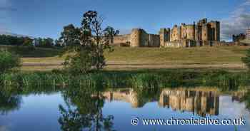 Get all the Northumberland news to your inbox for free with one easy step