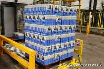 Man stole £1,600 of dog food to buy drugs in 'bizarre' theft