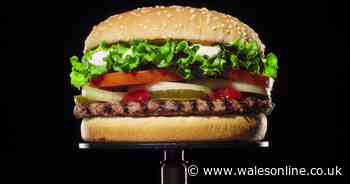 Burger King Whopper £1 for first time with Eat Out to Help Out
