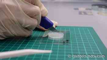 Scientists Inspired by Star Wars Develop Artificial Skin Capable of Recreating Sense of Touch