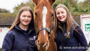UCC student awarded second place at prestigious Global Student Entrepreneur Awards - Echo Live