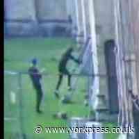 Men climb scaffolding to damage York Minster masonry - gargoyle knocked to ground