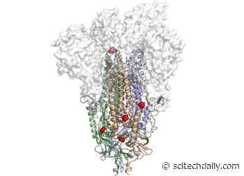 COVID-19 Vaccine Innovation Could Massively Speed Up Worldwide Production
