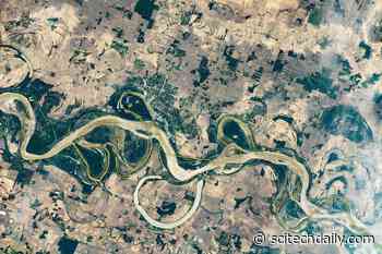 Meandering Mississippi River: Photo Taken by Astronaut on Space Station Shows Divergence From State Boundaries