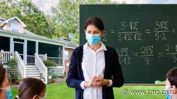 Bay Area Investor Soliciting Teacher For Backyard School