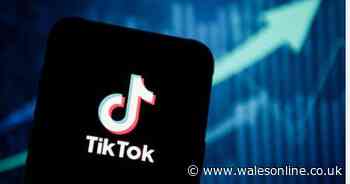 TikTok could set up in London 'to keep distance from China'
