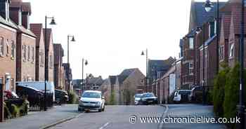 Man arrested after allegedly making threats to kill at Great Park