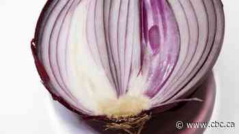 4 Salmonella cases in Sask. linked to potentially contaminated red onions