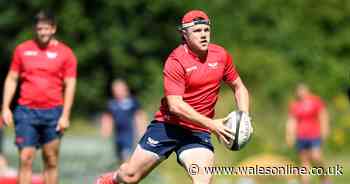 Steff Evans, the roving free spirit who could be perfect for Wales